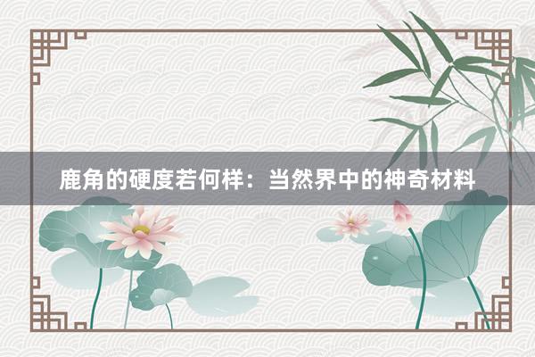 鹿角的硬度若何样：当然界中的神奇材料